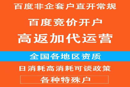SEM投放策略优化案例分析